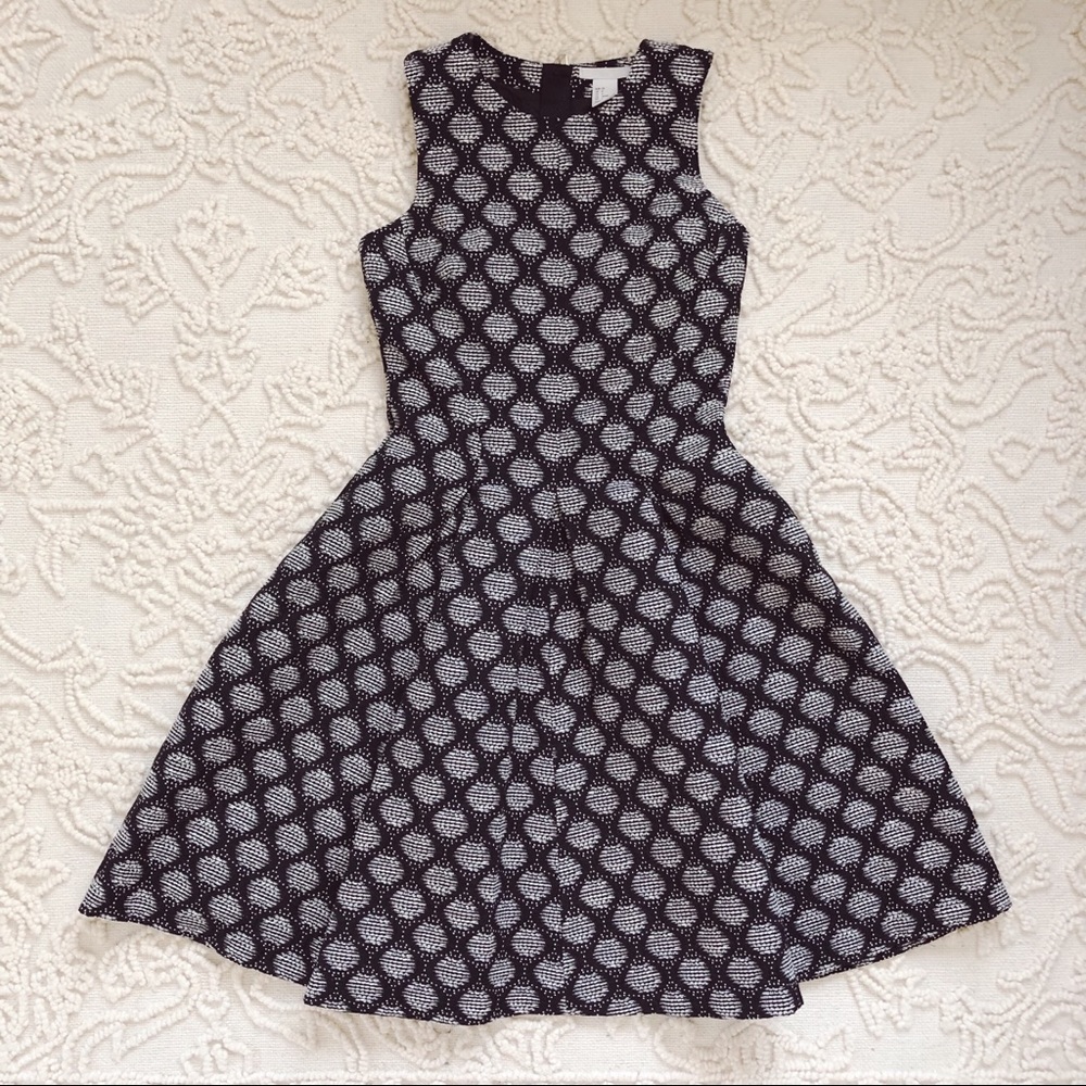 H&M Fit & Flare Printed Dress